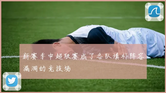 新赛季中超联赛成了各队填补阵容漏洞的竞技场
